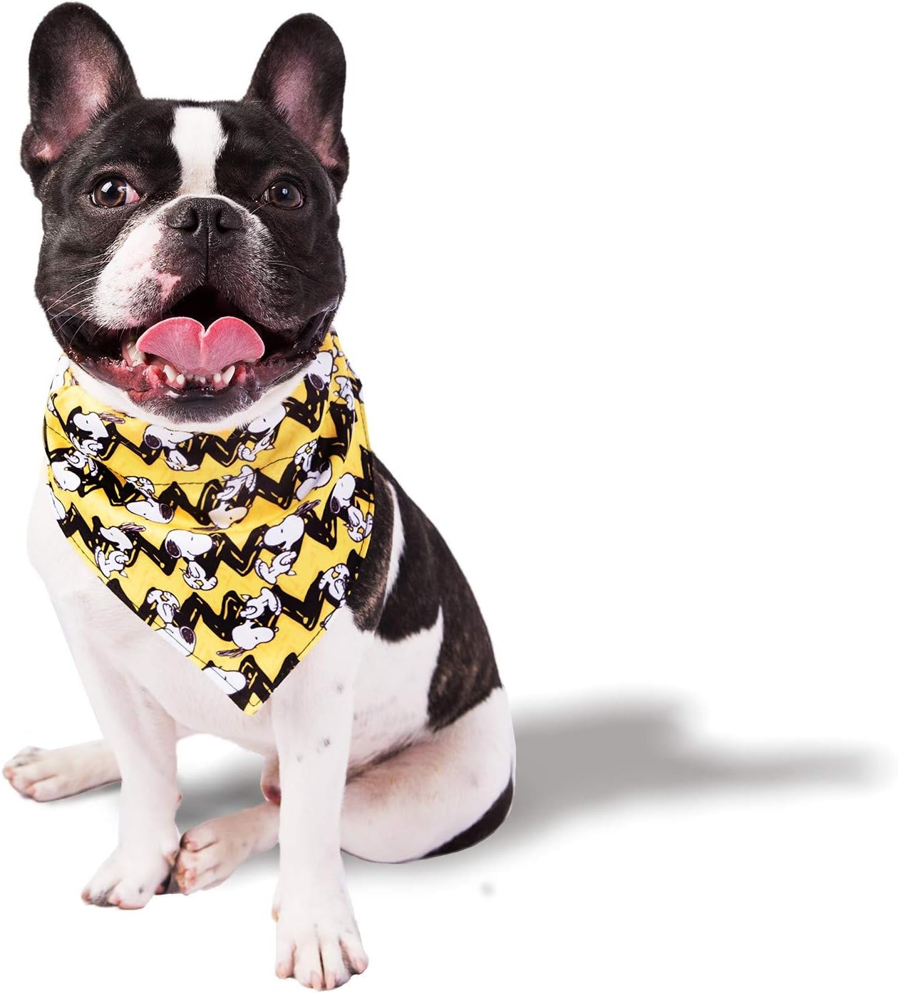 Snoopy dog accessories Outlet