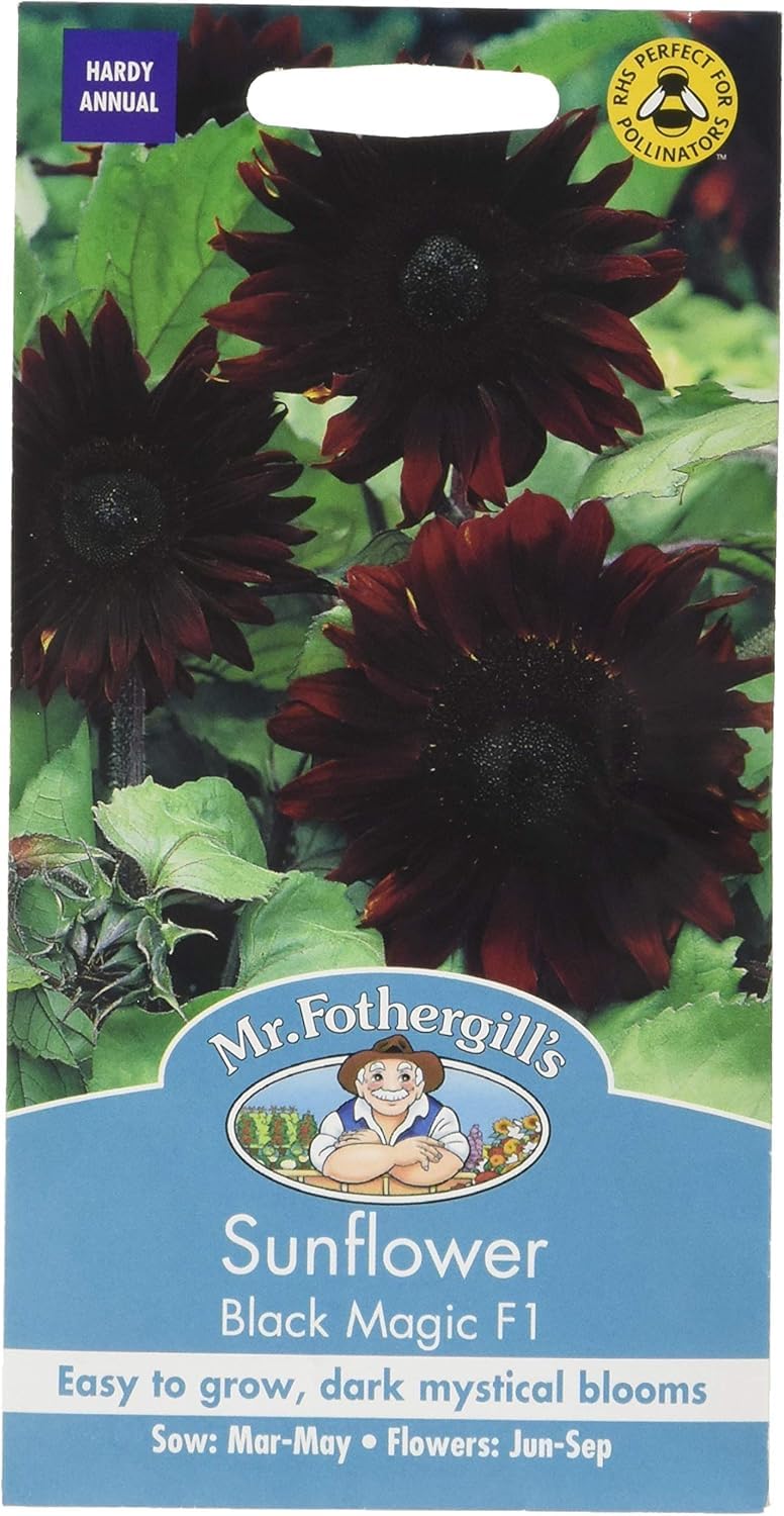 Mr. Fothergill's Magic F1 Sunflower Seed - Black