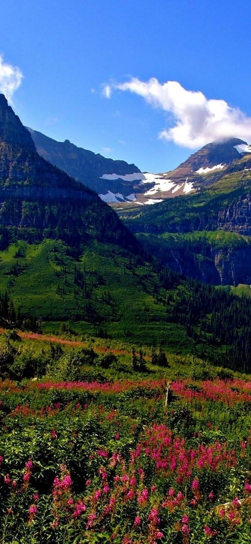 PeelitStickit, Beautiful Landscapes Wall Murals, ID-137, vinyl, Multi-colour