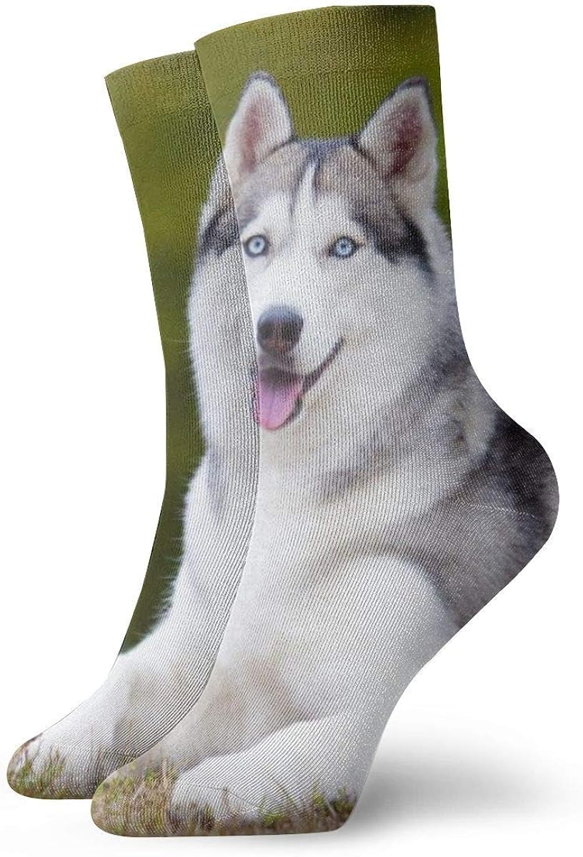 Calcetines de compresión antideslizantes de perro Husky siberiano de 11