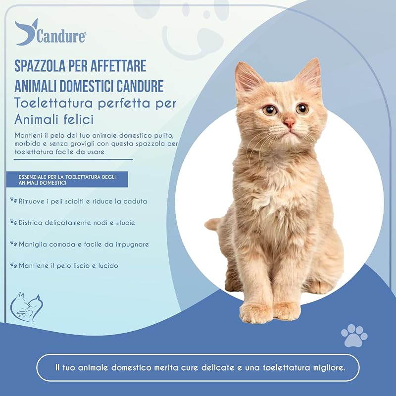 Spazzola Autopulente per Cani e Gatti, Spazzola Professionale per Pelo Lungo e Corto, Setole in Acciaio Inox, Rimuove Nodi, Sottopelo e Pelo Morto, Accessori Toelettatura (Azzurro Cielo)