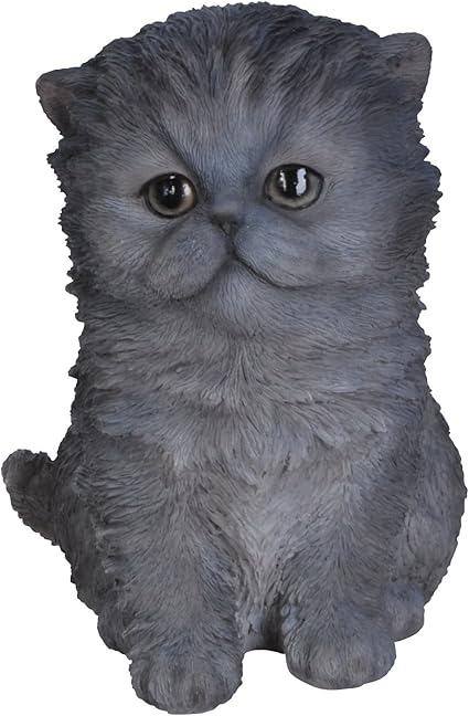 Vivid Arts Chat Persan Bleu Amazon Fr Jardin