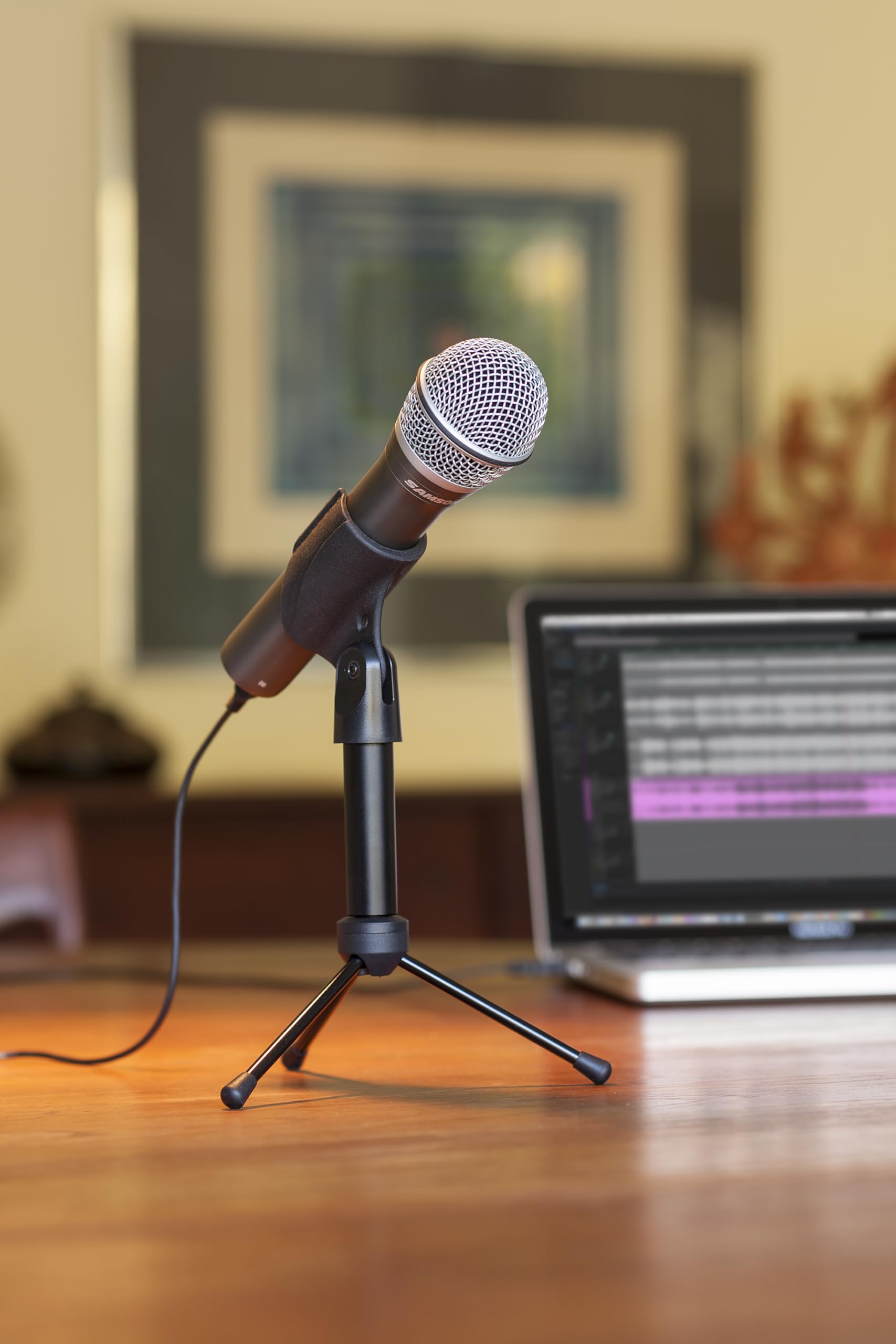 SAMSON Q2U Dynamic USB/XLR Microphone