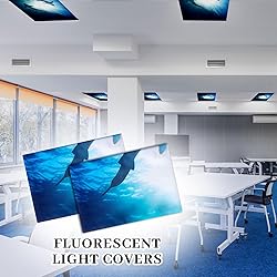 Patelai 4 x 2 Feet Fluorescent Light Cover for