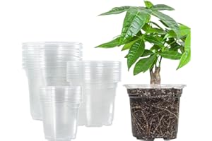 Bonviee 36 Packs 3.5/4/5 Inch Clear Nursery Pots, Transparent Plastic Planter with Drainage Holes, Seed Starting Pot Flower P