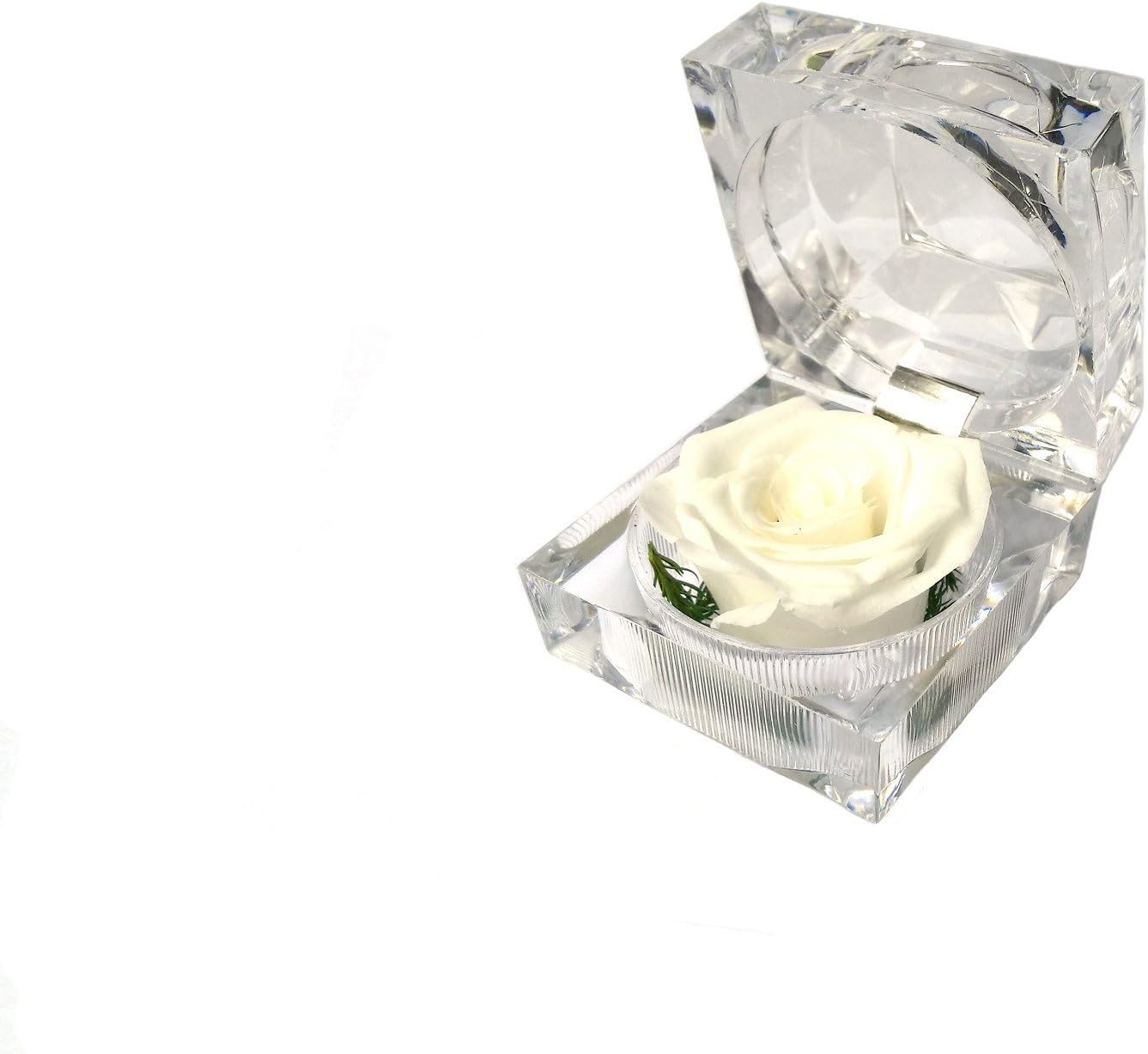 Mini Acrylic Preserved Flower Dried Rose Ring Earrings Box (White)