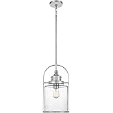 Quoizel Payson Mini Pendant Light, 10 Inch 1-Light Brushed Nickel, Clear Seeded Glass Pendant Light, Max Hanging Height 59", 