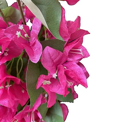 Buy 10pcs Silk Bougainvillea Glabra Climbing Bougainvillea Flower Artificial Bougainvillea Tree Branches 31 5 Six Colors For Wedding Centerpieces Deep Pink Online In Indonesia B07r195r33