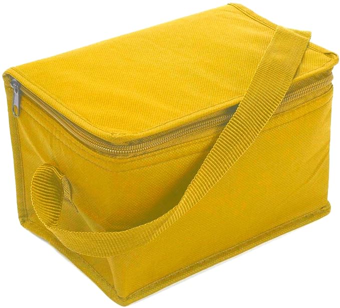 Mini bolso bolsa nevera nevera para 6 latas de cerveza Bebidas ...