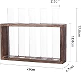 Hyindoor Desktop Glass Planter Propagation Station with Wooden Stand Rack view 8