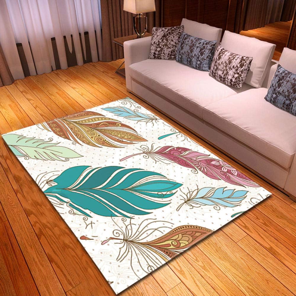 qijidzswyxgs Big Area Floor Rug Non Slip Area Rug for Living Room Bedroom,washable Rugs indoor,carpet floor mat for home decoration Multicolor cartoon 3D feather print rug 160x280CM