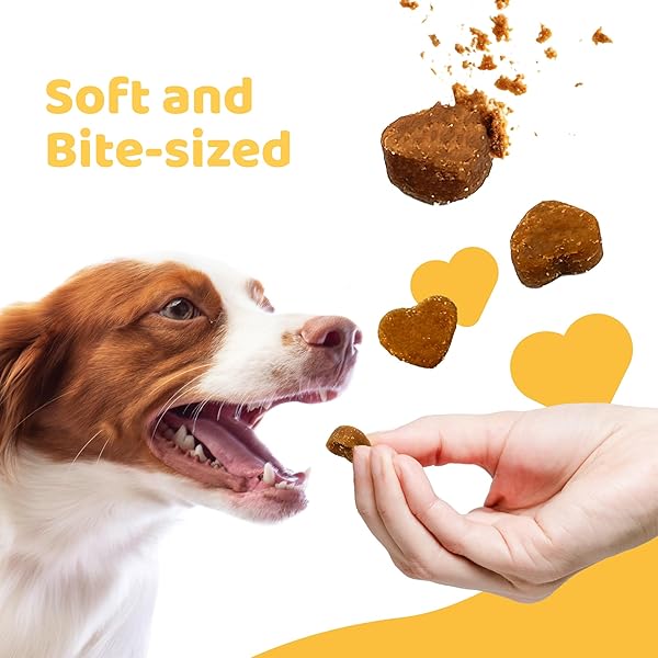 IPAW DOG TREATS FOR PUPPY TRAINING, ALL NATURAL HUMAN GRADE SOFT DOG TREAT WITH PROBIOTICS, HYPOALLERGENIC, EASY TO DIGEST (BEEF)