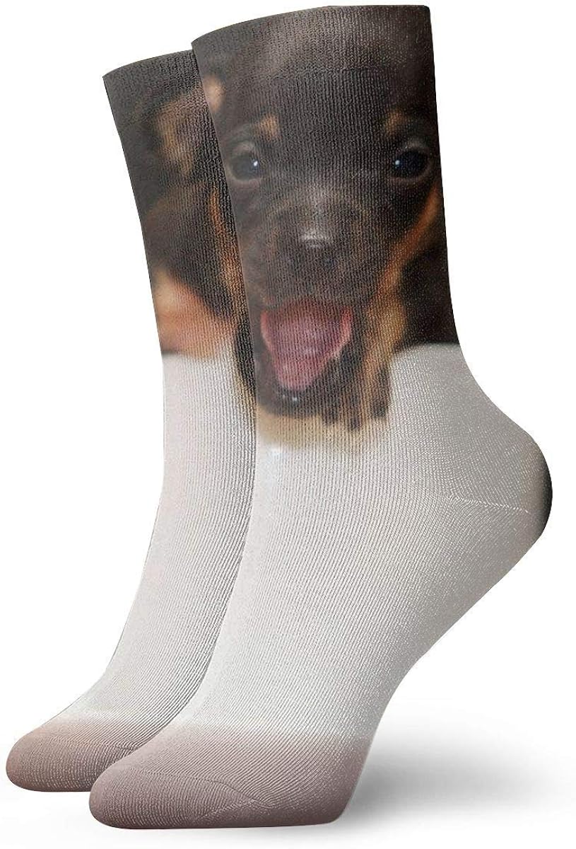 Unisex Dress Socks Pack Funny Dog Pictures Funny Polyester Crew Socks