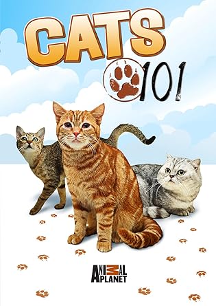 cats 101 burmese
