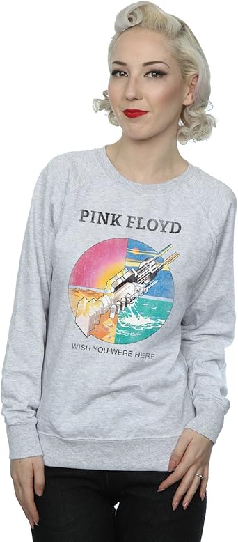 pink floyd wish you were here hoodie