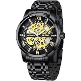 Dentily Men's Watch Mechanical Stainless Steel Skeleton Automatic Waterproof Business Watches for Men…