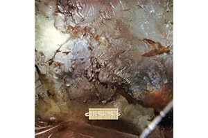 Head Over Heels (Vinyl)