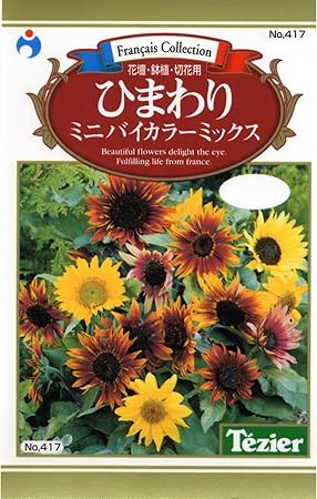 Amazon ひまわり ミニバイカラーミックス ひまわり種子 花