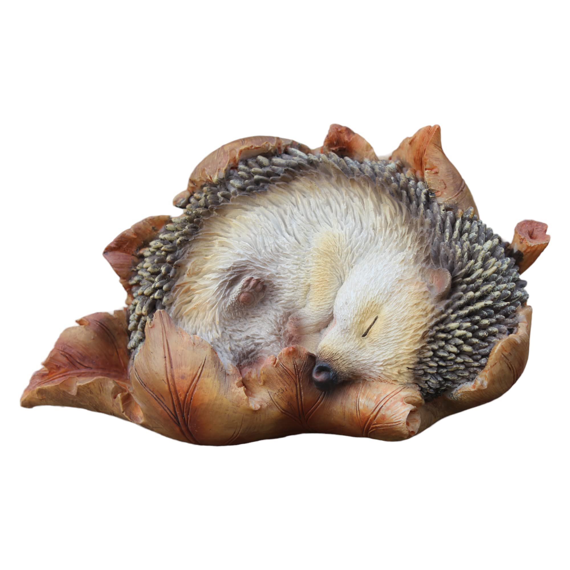Vivid Arts Baby Hedgehog in Leaf Highly Detailed Home or Garden Decoration (XRL-HH09-F)