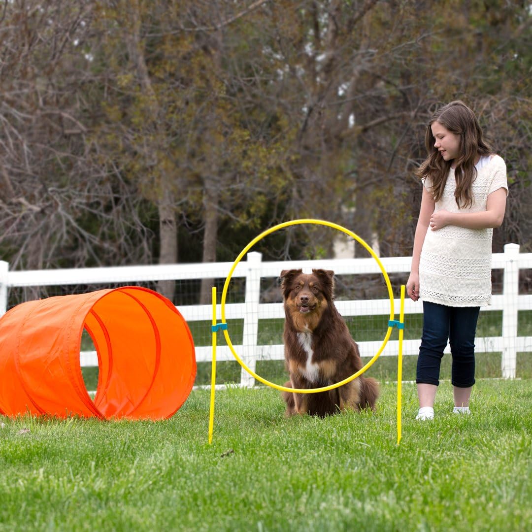 home dog obstacle course