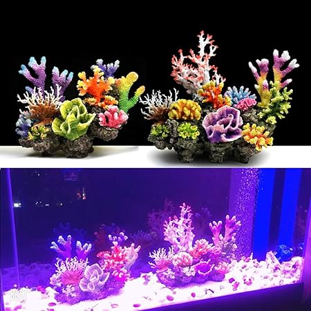 amazon uk aquarium accessories