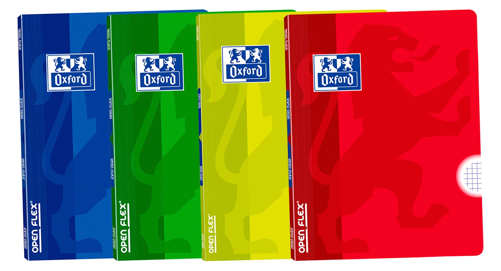 Oxford, A4 Stapled Notebooks, 4x4 Squares, Plastic Cover, 48 Sheets, Pack 4 Notebooks Without Spiral, Assorted Colours