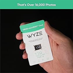 Wyze Expandable MicroSDXC Card Class 10,Storage