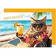 Edition Seidel Premium Birthday Card with envelope. Greeting Happy Birthday for him or her man woman friend cool cat funny humour (G3521 SW024)