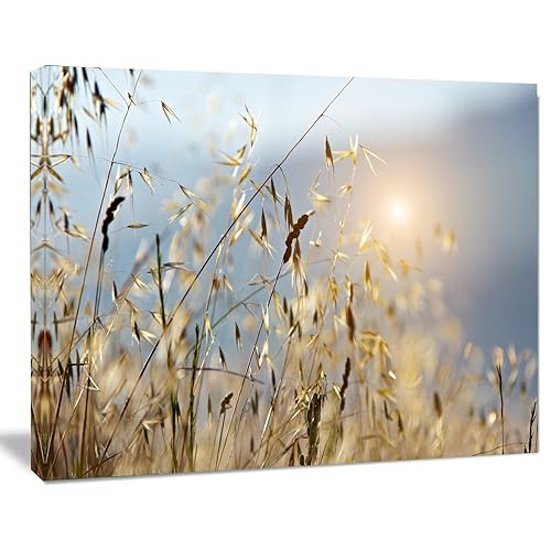 Designart Typical Tuscany Sunset Italy Artwork Canvas Print, 12" H x 20" W x 1" D 1P, White - Amazon deal for $33.12