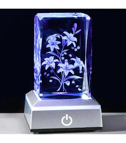 Cúpula De Rosa Eterna Led Regalo Para Día De San Valentín Aniviersario Bodas El Día De La Madre Cumpleaños Sant Jordi – Dcasa