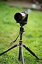 BEST CARBON FIBRE tripod for the price, BUY it NOW