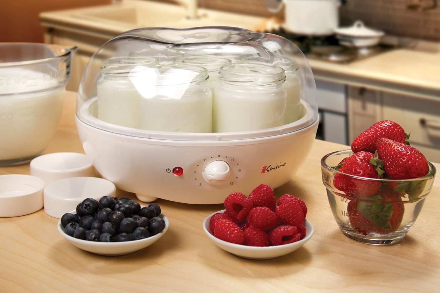 Euro Cuisine BM-QSHL-PFKK YM100 Automatic Yogurt Maker, 9.5 Inch, white: Kitchen & Dining