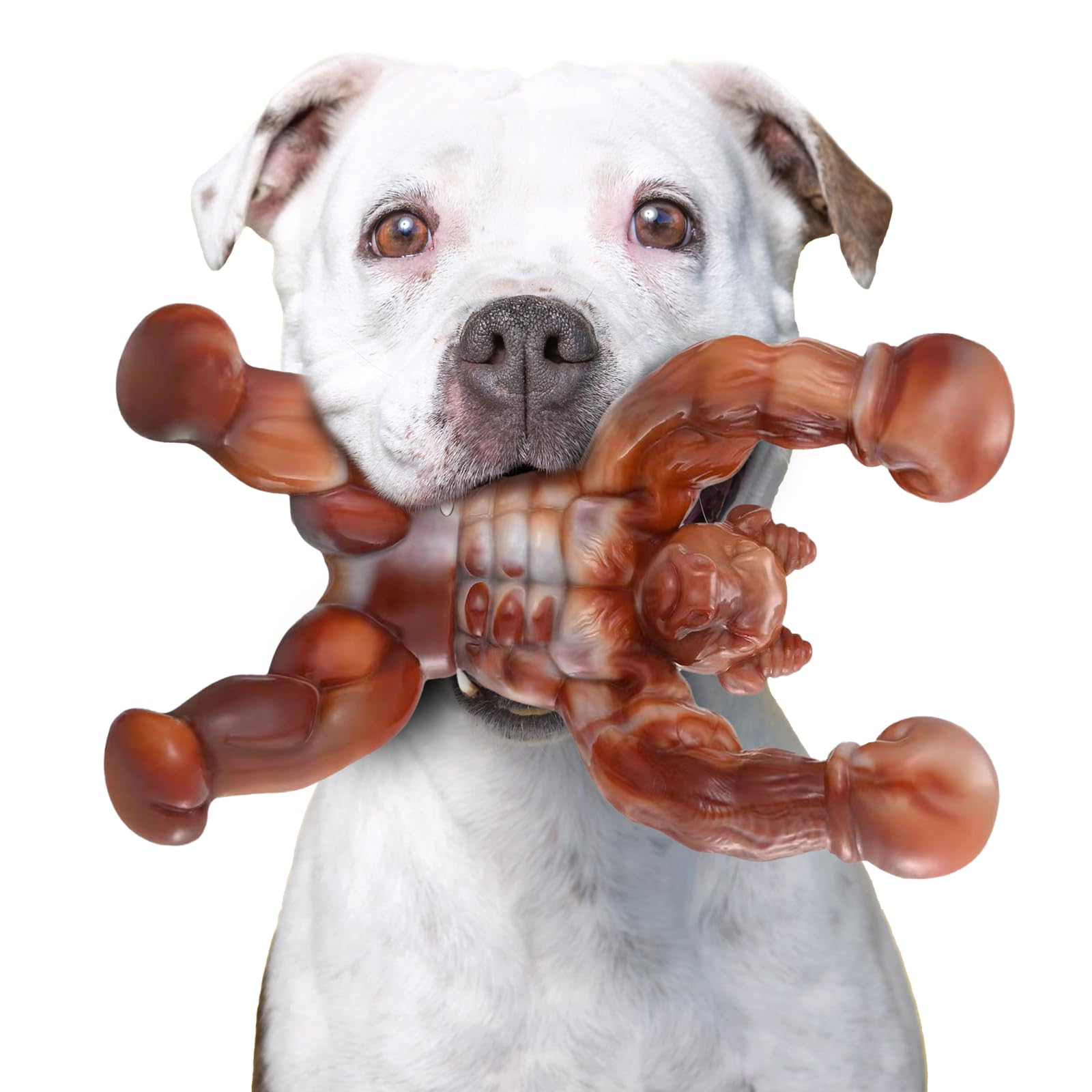 Zinbo Dog Toys for Aggressive Chewers, Indestructible Dog Toys, Toughest Nylon Dog Chew Toy with Real Bacon Flavor, Fun to Chew, Dog Bone Toys for Medium/Large Breed Dogs