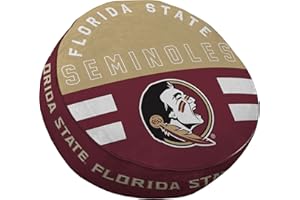 Pegasus Sports NCAA Unisex-Youth Modern