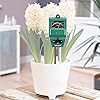 Neewer&reg; 3in1 Plant Flowers Soil Tester Moisture Light PH Meter