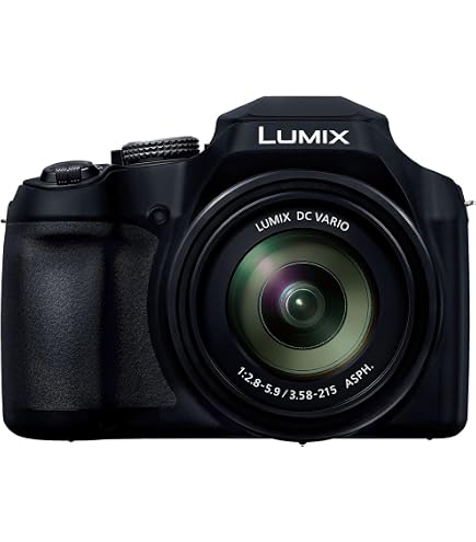 Amazon.com : Panasonic LUMIX DMC-FZ1000 20.1MP 4K Point and Shoot