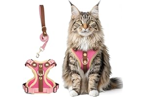 Muecleao Leather Accented Cat Harness and Leash, Escape Proof Breathable Mesh Vest, Adjustable Soft Padded for Comfort, Refle
