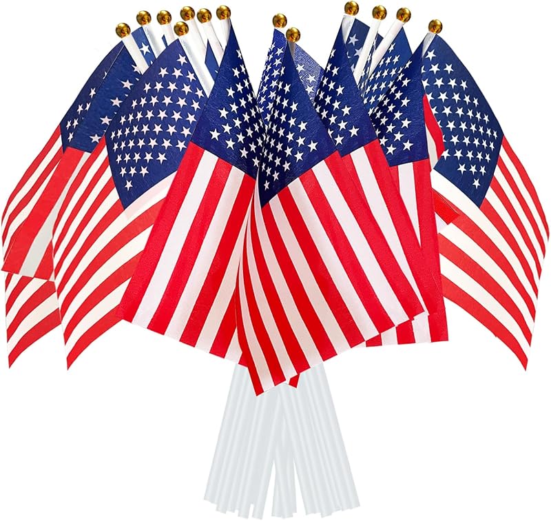 AhfuLife 15pcs American Flags on Sticks 30cm White Pole Hand Held Flags