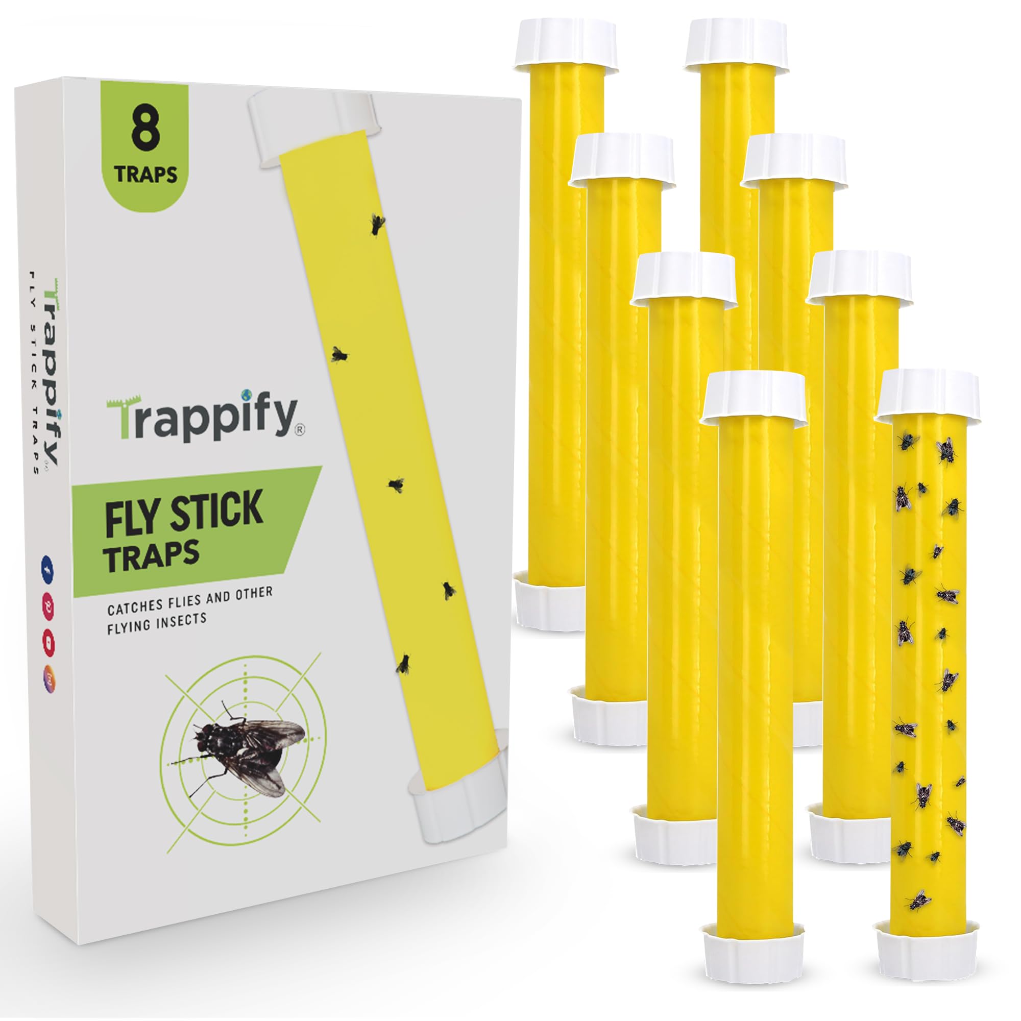 Trappify Hanging Fly Traps Outdoor: Fruit Fly Traps for Indoors | Fly Catcher, Gnat, Mosquito, & Flying Insect Catchers for Inside Home - Disposable Sticky Fly Trap for Indoor House Pest Control