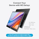 Dopesplay 15.6 inch Portable Monitor 1080P IPS USB-C HDMI Travel Display view 4
