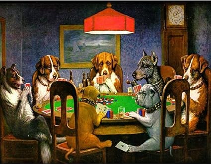 bichon poodle rescue near me