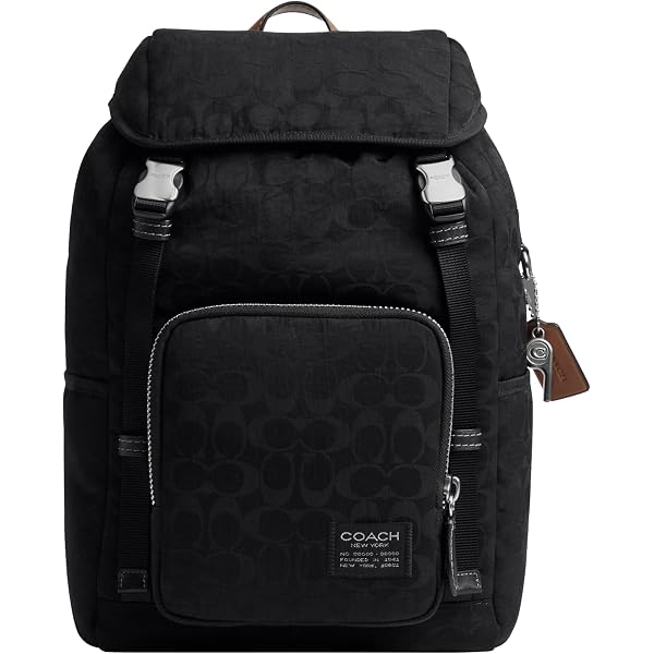 Amazon.com: Coach, Mens, Theo Backpack In Signature Jacquard