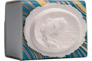 Earth Memorials The Favorite Place Burial Biodegradable Urn for Human Ashes - Small Fish Urn Box for Water Burial - R-205