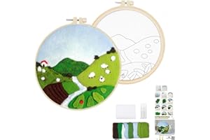 Wonafa DIY Wool Needle Felt Starter Kit, Beginner Needle Felt Kit with Wool Felt Bag, Felt Needles, Photo Frame, Foam Mat, Felt Cloth and Instructions for Home Decor, Art Crafts (K1)
