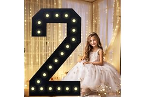 LOBOOM 3FT Light Up Numbers, Black Giant Marquee Number Mosaic Number for 2nd 12th 21st Birthday Backdrop Anniversary Decorations Large Numbers for Party Wedding Decor, Pre-Cut Foam Frame Number 2