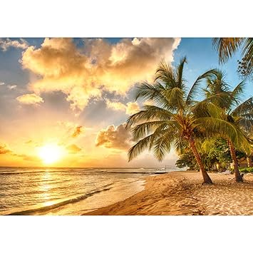Fototapete 350x245 Cm Alle Topseller Auf Einen Blick Vlies Premium Plus Dream Beach Strand Meer Sonnenaufgang Beach Wasser Blau Himmel Sonne Sommer No 042 Amazon De Baumarkt