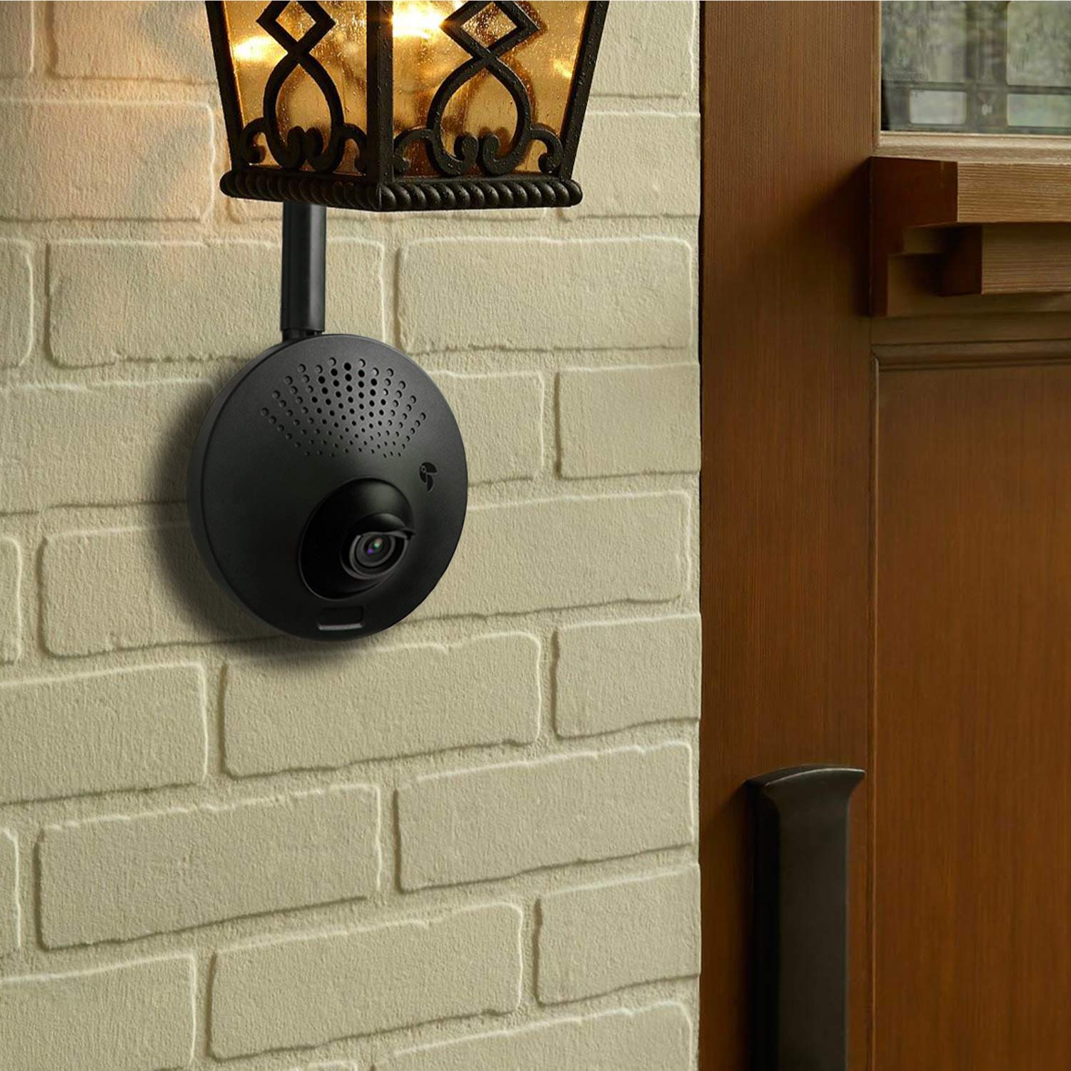 Weatherproof Outdoor Security Camera, Toucan Powered by Light Fixture