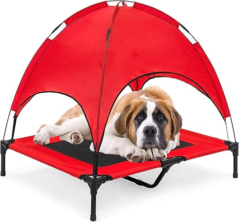 dog cot amazon