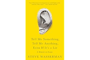 Tell Me Something, Tell Me Anything, Even If It's a Lie: A Memoir in Essays