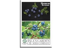 ISLA'S GARDEN SEEDS Highbush Blueberry Seeds (Northern & Southern Varieties) – 300+ Non-GMO & Heirloom Seeds, Vaccinium corymbosum, Sweet Perennial Shrub Edible Landscapes, by Isla’s Garden Seeds, Gift Idea Home Gardens